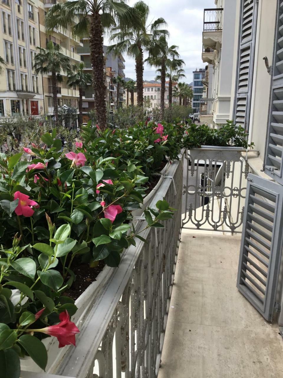 Palazzo Dei Grifoni - Luxury Suites - San Benedetto del Tronto Exteriör bild